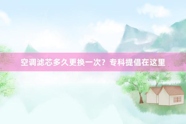 空调滤芯多久更换一次？专科提倡在这里